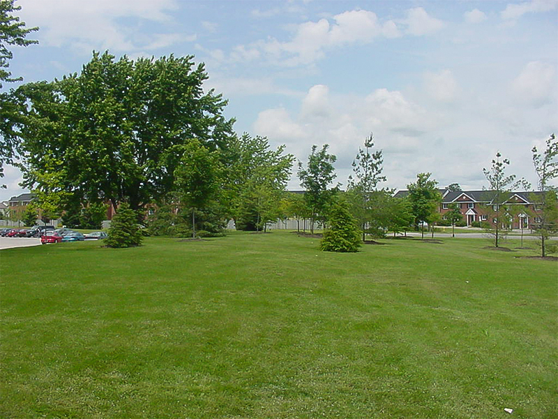 Fanshawe College Carolinian Garden